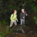 NASA's Michigan Space Grant Consortium Fellowship Opportunities